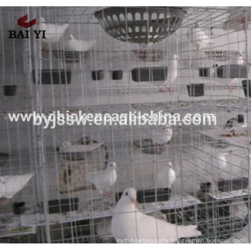 Provided with BAIYI Standard Layer Pigeon Cage(Factory)